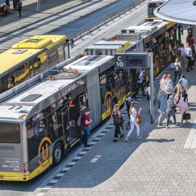 Bus rijbewijs