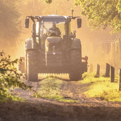 Trekker Rijbewijs
